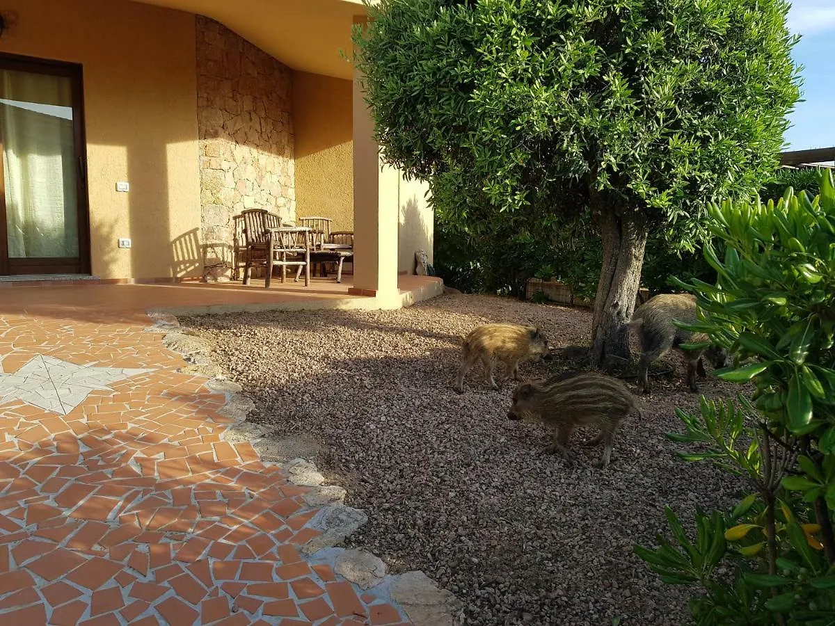 Villa Mavi With Solarium And Seaview, Swimming Pool Holiday home